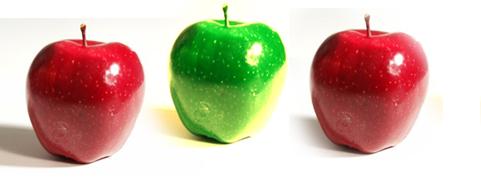 almacenar energía eléctrica a partir del pulpa de manzana
