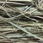 MATERIAL ECOLÓGICO ORGÁNICO Y RENOVABLE. «ENEA»