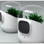 EL BEL-AIR “MINI INVERNADERO QUE PURIFICA EL AIRE”