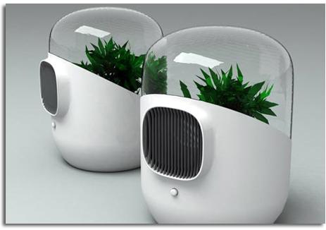 EL BEL-AIR “MINI INVERNADERO QUE PURIFICA EL AIRE”