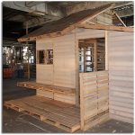 CASA HECHA CON PALÉS