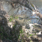 Reciclar toallitas ¡No tirar al inodoro!