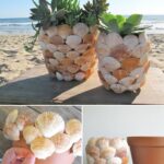Ideas para reutizar en la playa. Conchas Marina