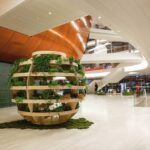 Cultivar nuestras propias plantas y verduras